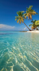 Wall Mural - A beautiful blue ocean with a palm tree in the background