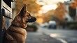 © Kanin - Loyal dog sitting patiently beside a mail carrier in uniform, soft afternoon light, photo realistic, trustworthy service animal