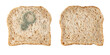 © BarTa - Whole grain bread slices fresh baked and with growing mold isolated on white background.