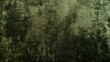 © Vika art - Green velvet texture background.