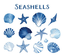 Set of watercolor Seashells illustration sea clipart