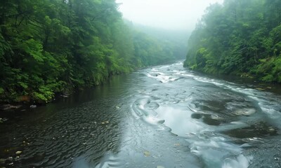 Poster - Serene Forest River with Raindrops Creating Ripples Amid Light Rainfall