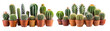 © PNG House - Graphic Design of Cacti with Clipping Path on Transparent Background – PNG Format