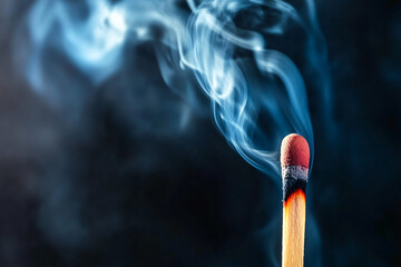 Leinwandbilder - A matchstick is lit and the smoke is rising