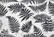 © Random_Mentalist - texture of fern foliage imprint on paper, illustration