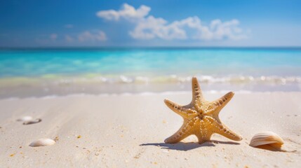 Canvas Print - Starfish on the Beach