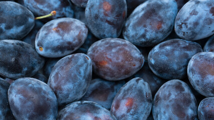 Poster - Fresh plums background. Top view. Organic food.