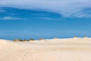 Sand dune landscape in Cape Hatteras National Seashore in Outer Banks, North Carolina, USA