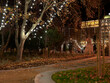 © sunlight19 - Christmas tree and lights at night in a park.