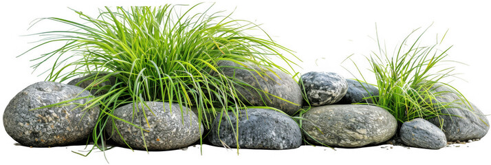 Ornamental Grasses and Stones