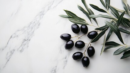 Wall Mural - An elegant olive branch with ripe black olives, resting on a white marble countertop with a minimalistic, modern kitchen backdrop