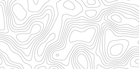 White fresh topography topology vector map contour abstract background wallpaper 