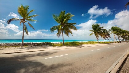 palm trees in one side of a road in san andres colombia in a beautiful beach background