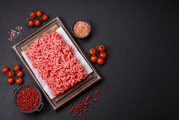 Fresh raw ground beef with salt and spices