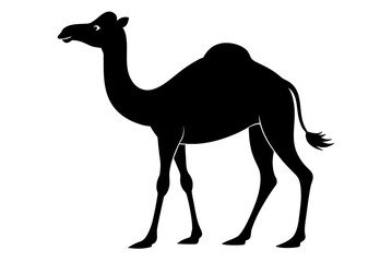 beautiful animal camel silhouette black vector art illustration