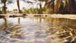 © Bonsales - Tranquil close-up of water ripples in a shimmering pond under the scorching desert sun, framed by lush palm trees in an oasis setting