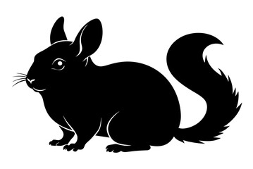 Beautiful chinchilla silhouette black vector art illustration 