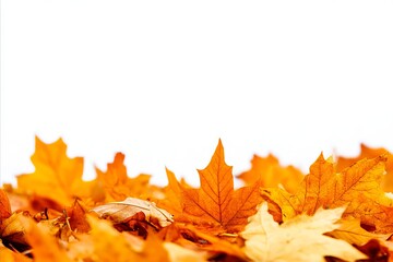 Wall Mural - A pile of yellow and orange leaves on a white background
