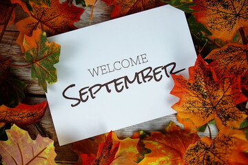 Wall Mural - Welcome September text with maple leaf decoration top view on wooden background