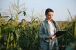 © Serhii - Farmer business woman in corn field. Woman farmer works in corn field. Agricultural business concept. Growing food. Harvest in field. Farmer field