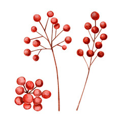 Composition of watercolor illustration with red berries and branches of red berries, Christmas set of hand drawn illustration