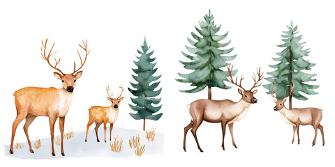 Wall Mural - Illustration of deer in a snowy forest with evergreen trees. Perfect for winter or holiday themes in nature or wildlife scenes.