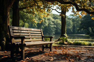 Wall Mural - A serene park bench nestled under a canopy of trees, inviting relaxation and contemplation. Concept of tranquility and nature's embrace. Generative Ai.