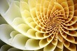 © Pixel Alchemy - Fibonacci Spiral Background. The natural harmony and mathematical beauty of the Fibonacci sequence create a visually engaging and aesthetically pleasing composition