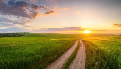 Wall Mural - panorama of green field with dirt road and sunset sky summer rural landscape sunrise