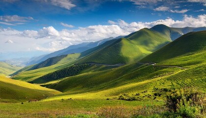 Wall Mural - tianchi west slope of changbai mountain fusong county yanbian korean autonomous prefecture jilin province