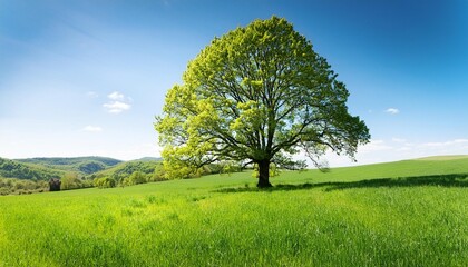 Wall Mural - spring meadow with big tree with fresh green leaves