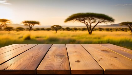 the close up picture of the empty table that has been made from the wood material and placed inside the savanna savannah is type of grassland ecosystem mixture of grass and scattered trees aigx02