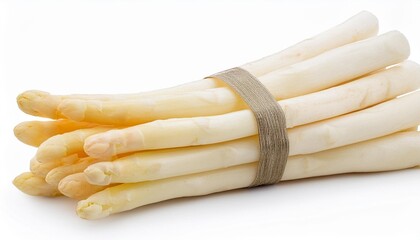 fresh ripe white asparagus in bunch isolated on a white background full depth of field focus stacking