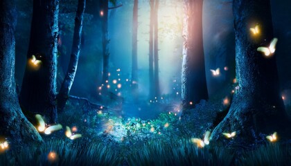 Canvas Print - an amazing magical night fairy forest full of mystical lights fireflies and fairies