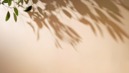 Wall Mural - tree leaves shadow on wall nature abstract background