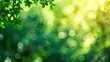 © Michael - Green bokeh background from nature forest
