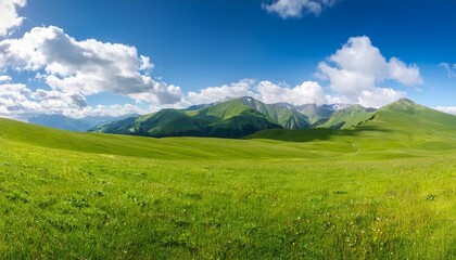 Wall Mural - panoramic natural landscape with green grass field blue sky with clouds and and mountains in background panorama summer spring meadow shallow depth of field