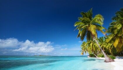 Wall Mural - on the idyllic shores palm trees sway over turquoise waters inviting tranquil relaxation