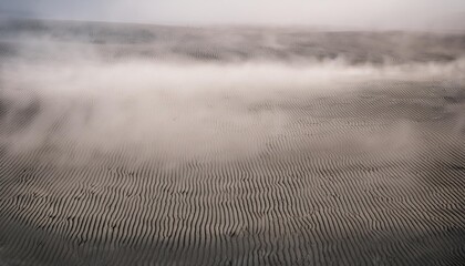 Canvas Print - ground fog texture background