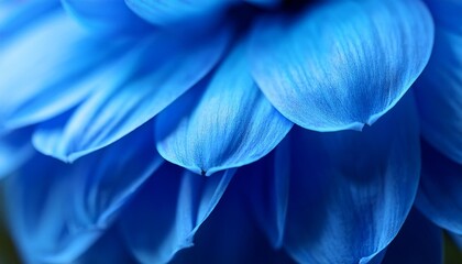 Canvas Print - macro close up of blue flower petals generative ai