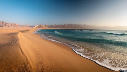 morning on sandy beach near a shore of the red sea middle east