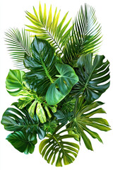 Wall Mural - Green Leaves of Tropical Plants Bush Floral Arrangement Isolated on White Background, Lush Foliage, Exotic Nature, Botanical Design, Fresh Tropical Vegetation, Natural Decoration, Garden Aesthetic