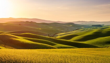 Wall Mural - golden hour landscape in rolling hills perfect for nature prints and posters