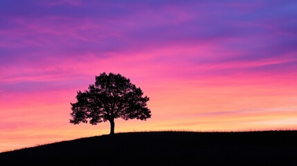 Wall Mural - Silhouette of a Tree Against a Vibrant Pink Sunset Sky