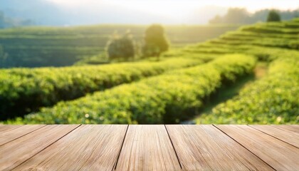 Wall Mural - empty wooden tabletop with blurred green tea plantation background for product display