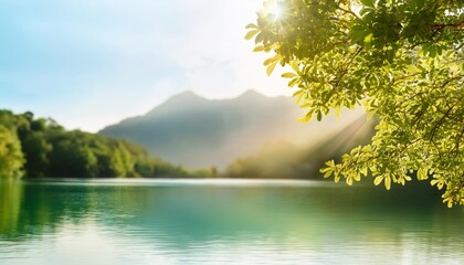 Canvas Print - tree and out of focus water nature background