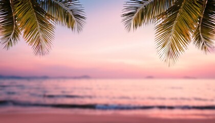 Canvas Print - beach background with palm tree tropical beach palm leafs pink sunset in tropic blurred photo with soft focus