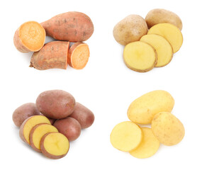 Wall Mural - Different types of potatoes isolated on white, collection