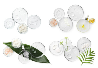 Sticker - Petri dishes with cosmetic products and plant isolated on white, top view. Set