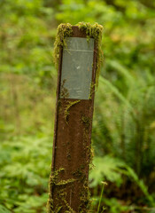 Poster - Fog Grows on Wooden Trail Marker Post